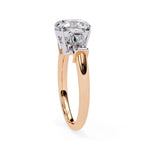 Elegant Solitaire Central Stone Brilliance Ring