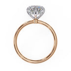 Elegant Diamond Center Stone Ring with Side Accents