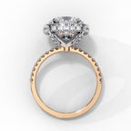 Elegant Diamond Side Stone Brilliance Ring
