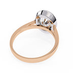 Elegant Solitaire Central Stone Ring