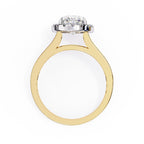 Elegant Diamond Side Stone Brilliance Ring