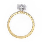 Elegant Radiance Central Stone Diamond Ring