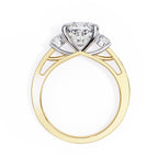 Elegant Diamond Side Stone Brilliance Ring