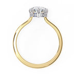 Elegant Diamond Side Stone Brilliance Ring