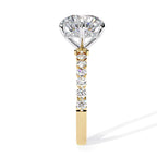 Radiant Central Brilliance Side Stone Ring