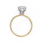 Radiant Central Stone Diamond Ring with Shimmering Side Accents