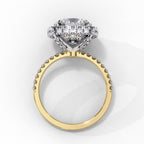 Elegant Diamond Side Stone Brilliance Ring