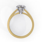 Elegant Solitaire Central Stone Ring