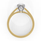 Elegant Solitaire Central Stone Ring