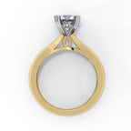 Elegant Solitaire Central Stone Ring